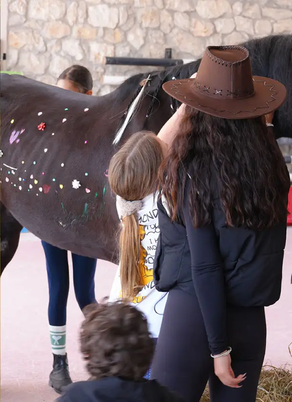 HORSE GROOMING