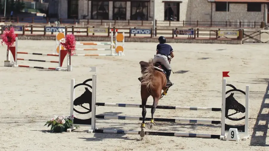 HORSEBACK RIDING
