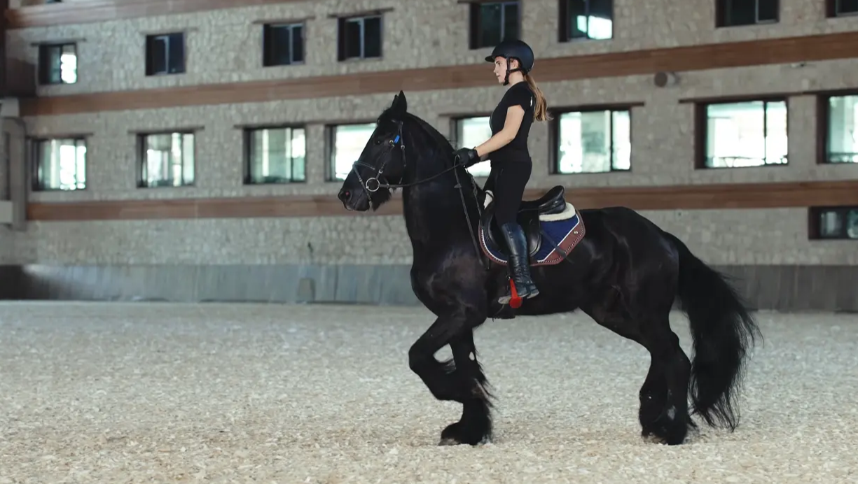 Binicilik Deneyimi: Atlarla Tanışmak İçin En Doğru Yer